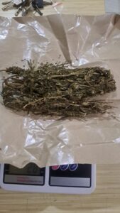 Mbminvestigasi.com | Polsek Palmerah Sita Sabu dan Ganja dalam Pengungkapan Kasus Narkotika di Kemanggisan Mbminvestigasi.com | Polsek Palmerah Sita Sabu dan Ganja dalam Pengungkapan Kasus Narkotika di Kemanggisan