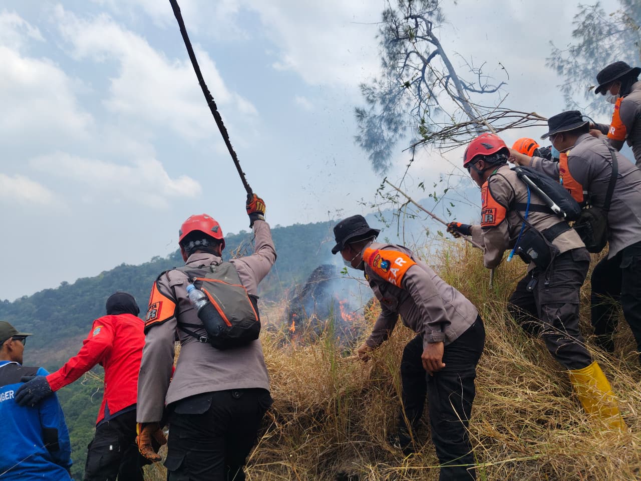 Mbminvestigasi.com | Polda Jatim dan Tim Gabungan Tangani Karhutla Gunung Arjuno Sisir 4 Wilayah Mbminvestigasi.com | Polda Jatim dan Tim Gabungan Tangani Karhutla Gunung Arjuno Sisir 4 Wilayah