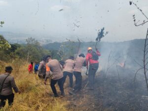 Mbminvestigasi.com | Polda Jatim dan Tim Gabungan Tangani Karhutla Gunung Arjuno Sisir 4 Wilayah