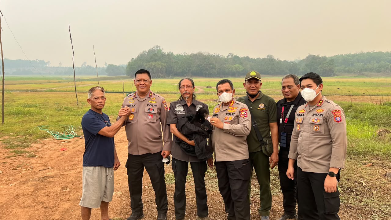 Mbminvestigasi.com | Tak Hanya Padamkan Api, Polri Selamatkan Anak Beruang Madu Terdampak Karhutla Mbminvestigasi.com | Tak Hanya Padamkan Api, Polri Selamatkan Anak Beruang Madu Terdampak Karhutla