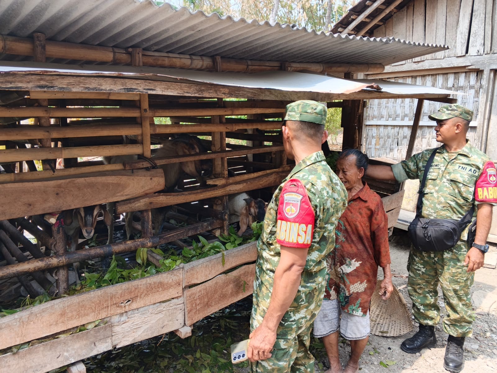 Mbminvestigasi.com | Jangan Sampai Kotoran Kambing Picu Keluhan Tetangga, Babinsa Ngrombo Turun Ingatkan Peternak Mbminvestigasi.com | Jangan Sampai Kotoran Kambing Picu Keluhan Tetangga, Babinsa Ngrombo Turun Ingatkan Peternak